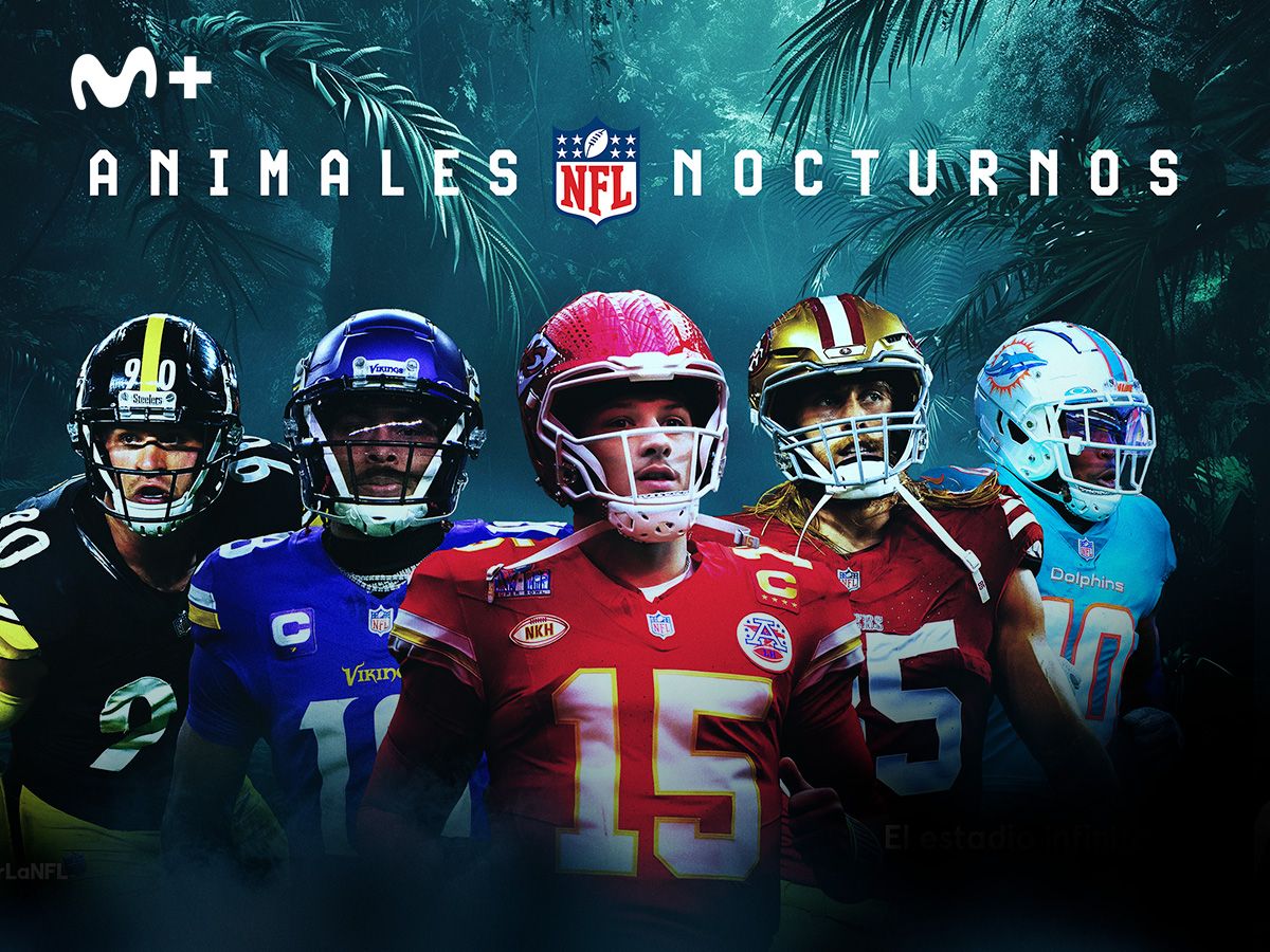 PLAYOFFS NFL WILD CARD