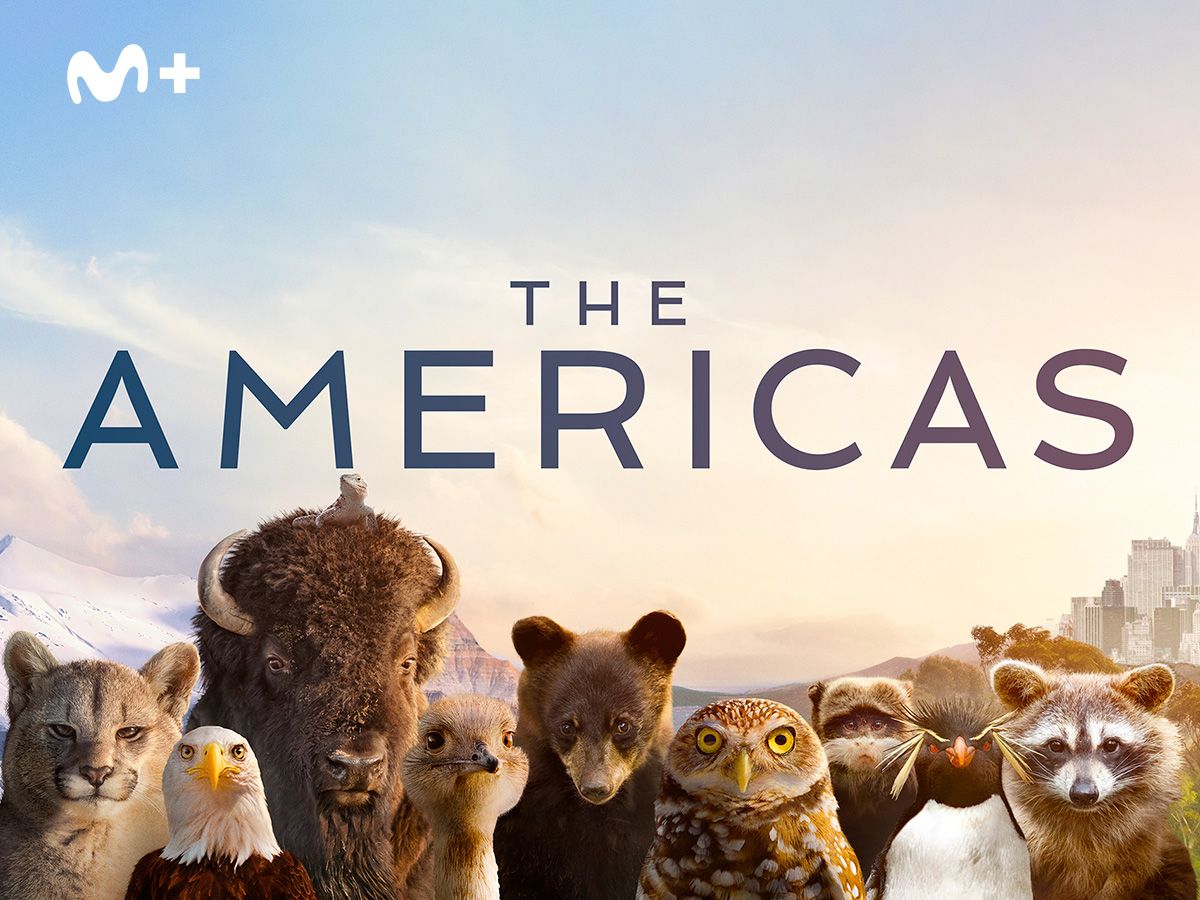 MOVISTAR+ THE AMERICAS